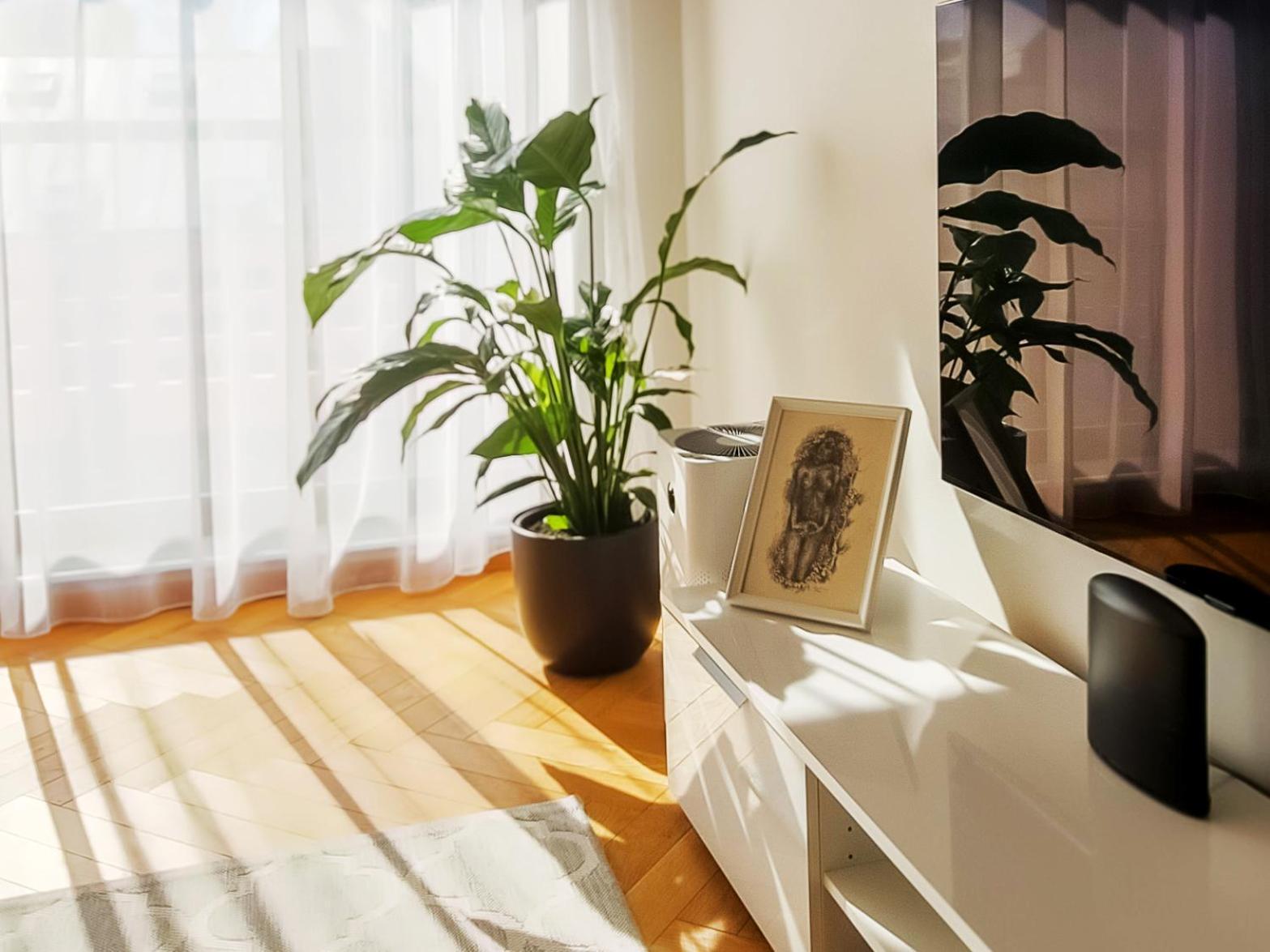 Urban Escape In Tallinn'S Heart 外观 照片